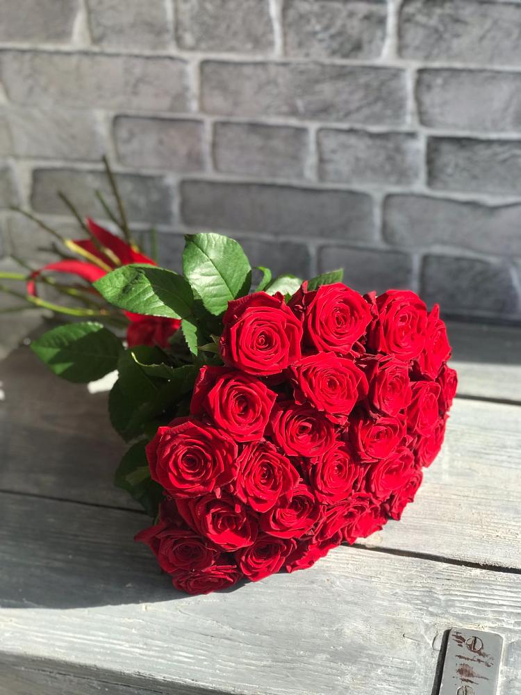 Букет Красные розы Фридом в Супонево Брянская область