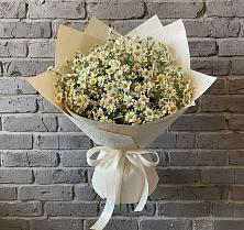 Букет цветов из:  Ромашки #REPLACE_PRED# Супонево Брянская область