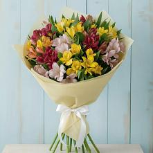 Букет цветов из:  Альстромерии #REPLACE_PRED# Супонево Брянская область