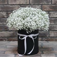 Цветочная композиция из Гипсофила в шляпной коробке в Супонево Брянская область