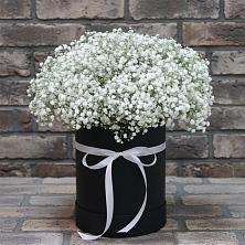 Цветочная композиция из Гипсофила в шляпной коробке в Супонево Брянская область