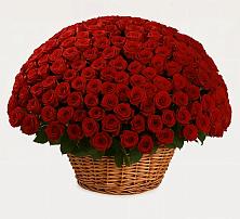 Премиум букет из: Розы в Супонево Брянская область