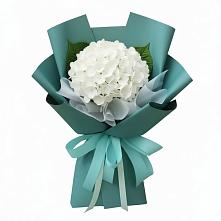Букет цветов из:  Гортензия в Супонево Брянская область
